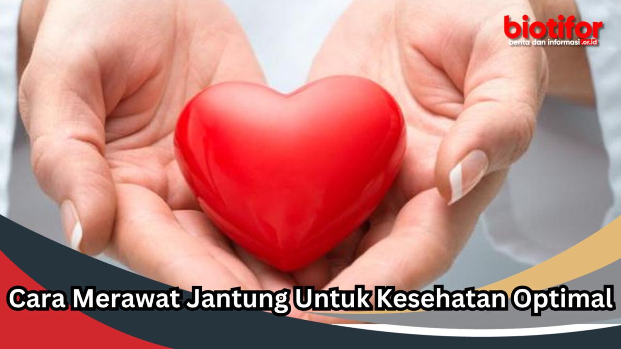 Bagaimana Cara Menjaga Kesehatan Jantung Yang Baik