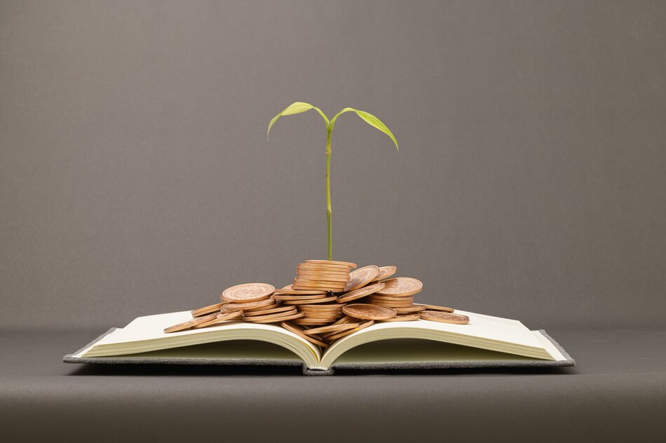 Strategi Investasi Cerdas Membangun Kekayaan dari Nol - Solusi ... Bagaimana Cara Membangun Kekayaan Dari Nol